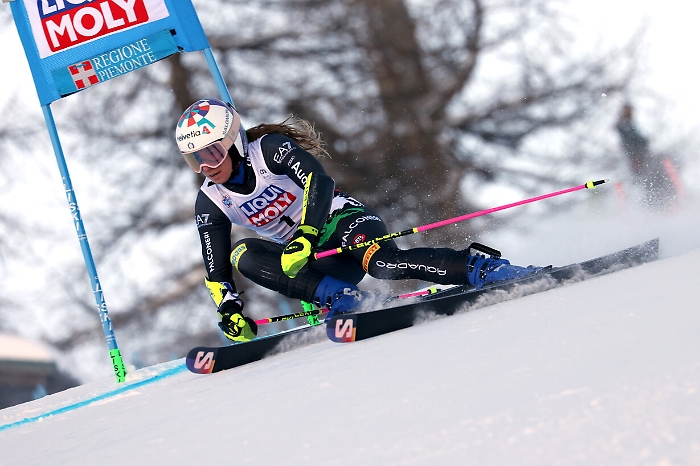 2022-12-10_110454532_1670679776973