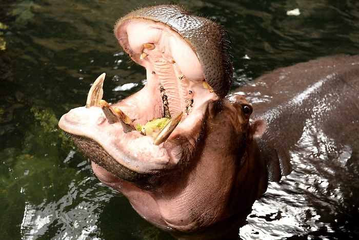 2022-12-16_116439573_1671194166813