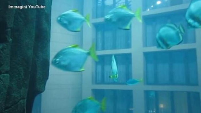 e8e2120c-7d27-11ed-93d0-fd9373385b22_1671185720483