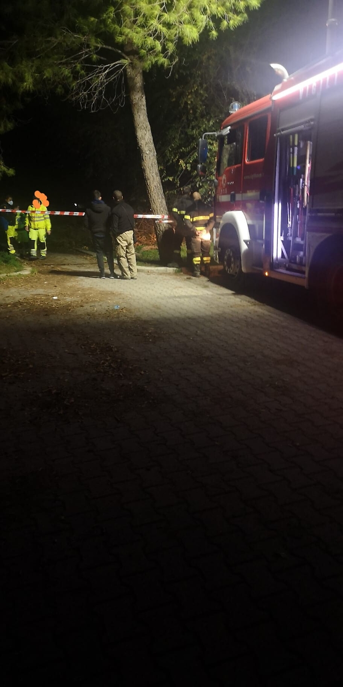 190947281-45147e63-afc2-498f-93e5-1a326760d44f