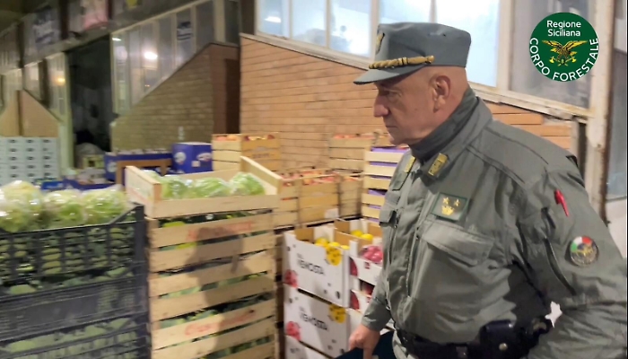 134907427-e97b659b-9a76-492c-861b-02fc0c9f862d