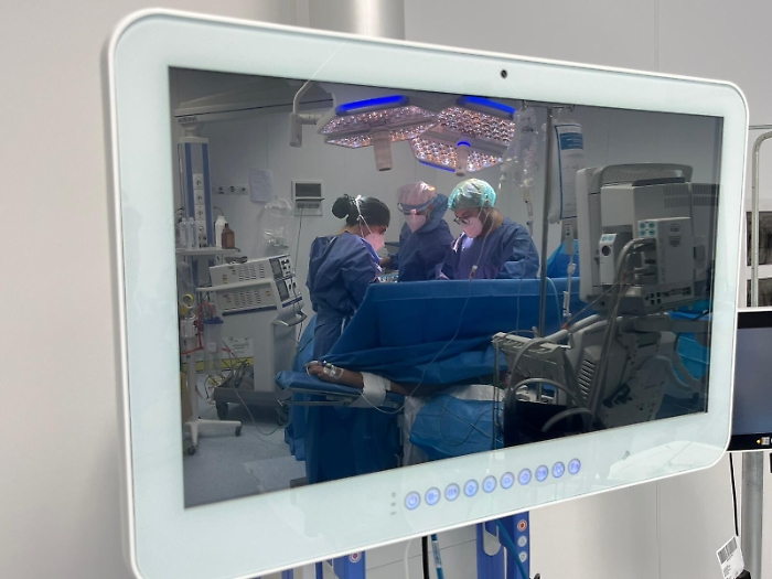 132241629-7f31a497-91c3-4431-82f3-c3c9cbae095c