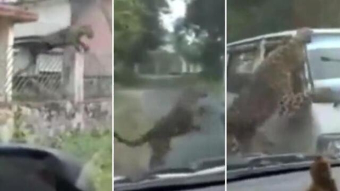 1099aa06-874d-11ed-a82c-3a1d84a66a2f_1672304501524