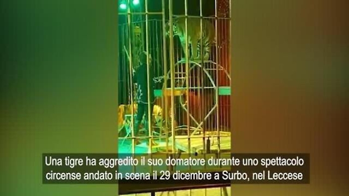 c621d7a4-8824-11ed-8dd9-3f83702fb8ed_1672397470200