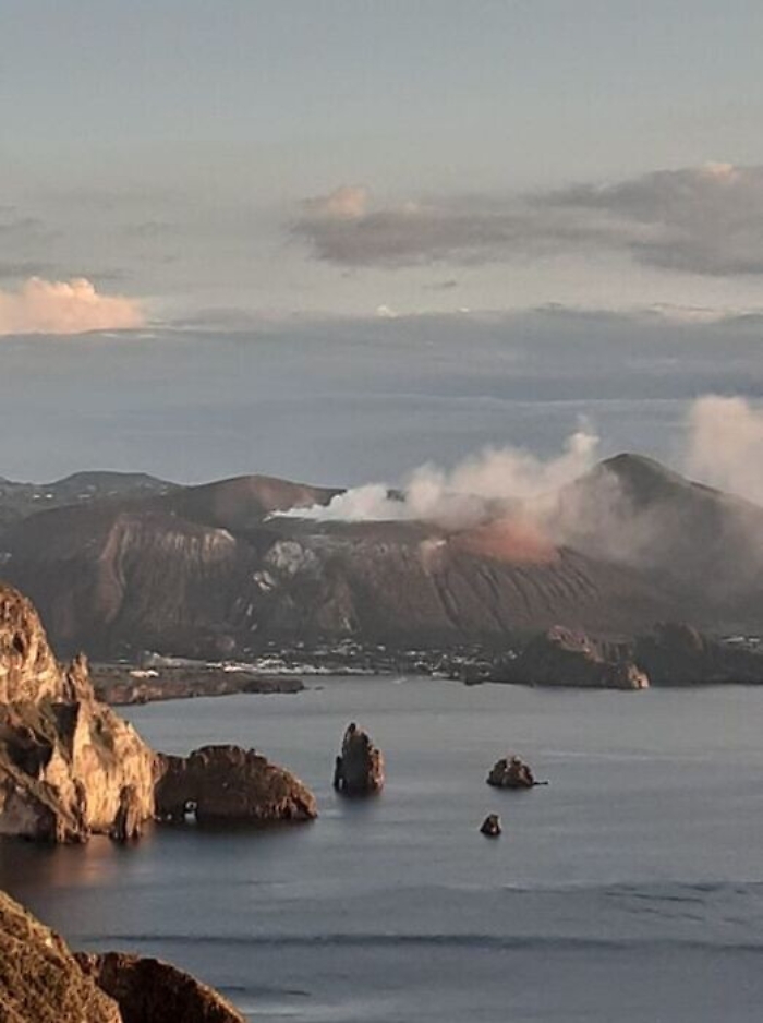 155902784-0c09149a-8c35-4c9b-a047-4e7d349516d8