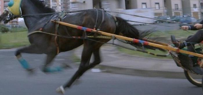 192837844-0ee72688-6817-45d0-a3ec-633d9328f892