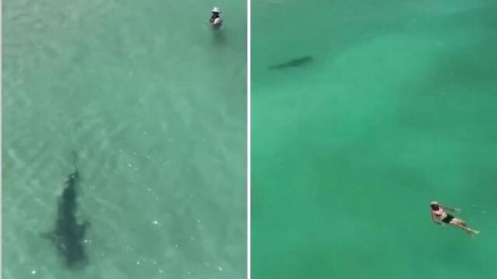 a197e256-8b3b-11ed-8037-0e7a9204e628_1672736515876