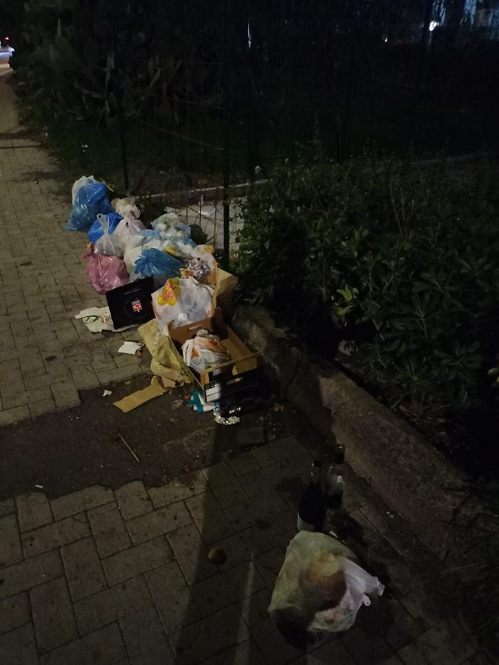 155548915-51b80fcb-af56-4818-82bc-5dfc3fc38bc9