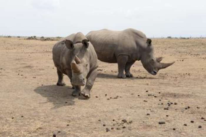 ADN20230110142124_1673357733202