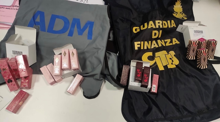 2023-01-12_112443647_1673515353746