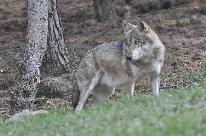 2023-01-12_112449935_1673531033699