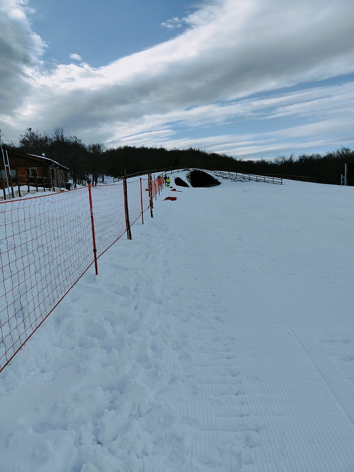 2023-01-13_113455864_1673617845574