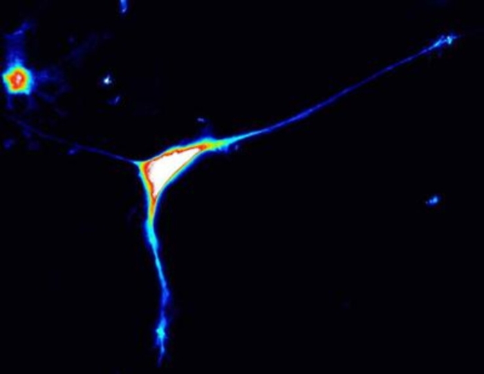 ADN20230113163329_1673625396278