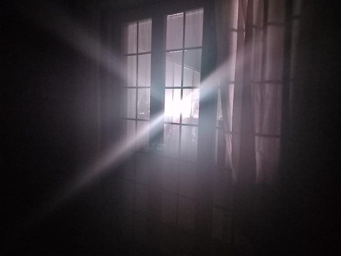 174313607-319a326f-b7d1-4b54-90fd-3b022241586d