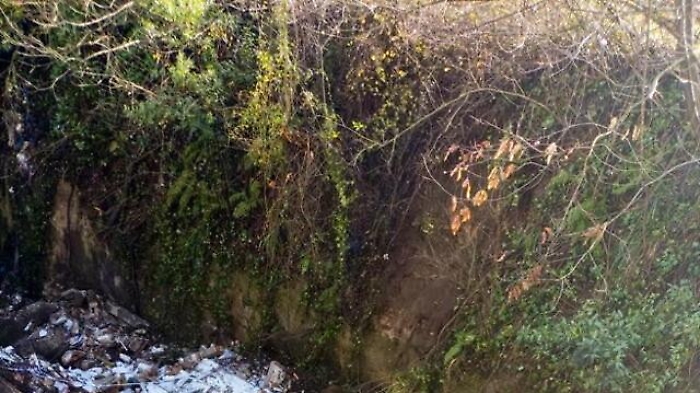 22c167da-9802-11ed-a8ba-307a461da0c0_1674139871740