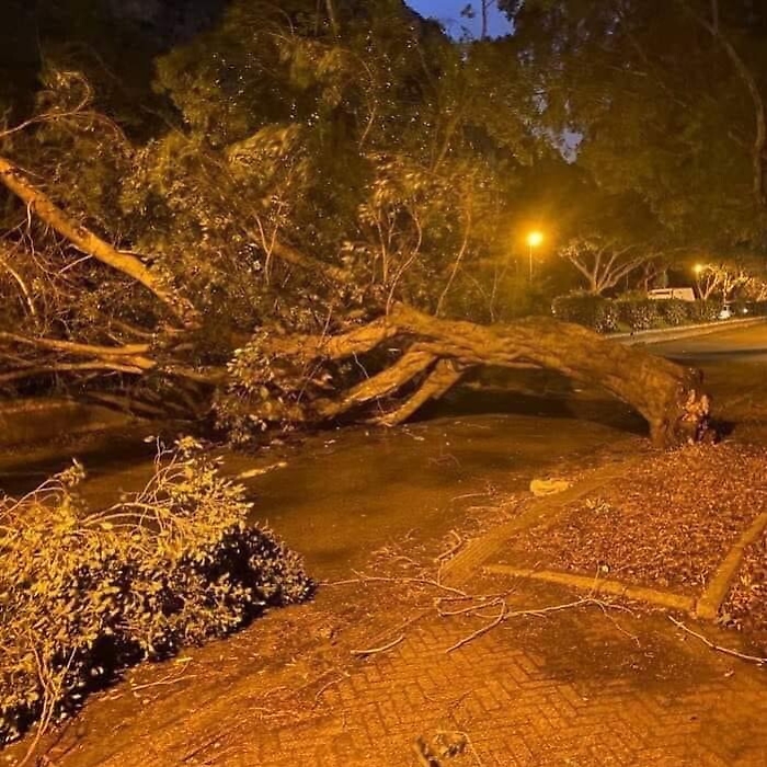 074429298-75ff048f-c484-4377-b3f5-1973661c7e88