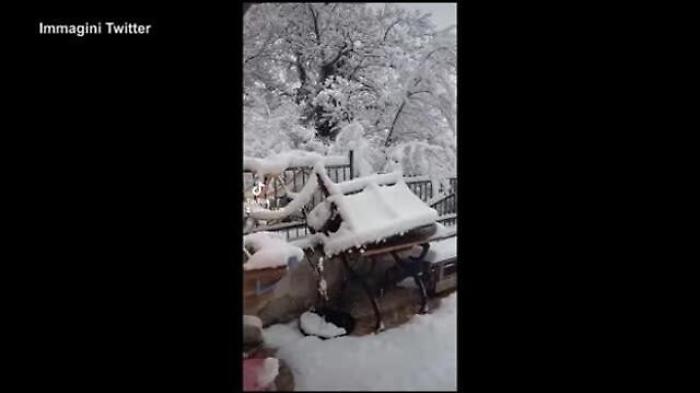 55f46394-9b06-11ed-a6c0-015065345ec9_1674471076591