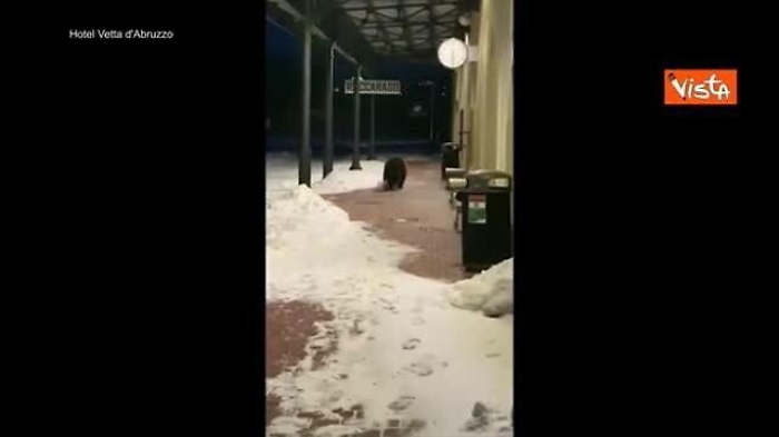 f2ab8170-9b53-11ed-a6c0-015065345ec9_1674504990220