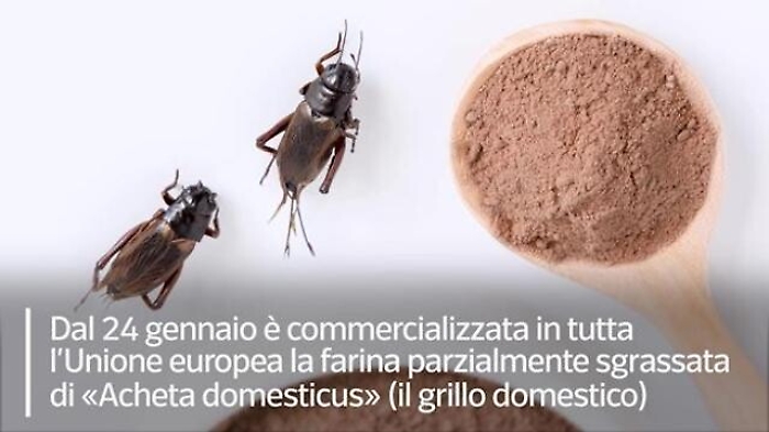 347f439a-9c01-11ed-b717-184306d51af5_1674577819627