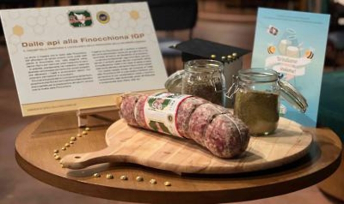 LAB20230124160639_1674574532165