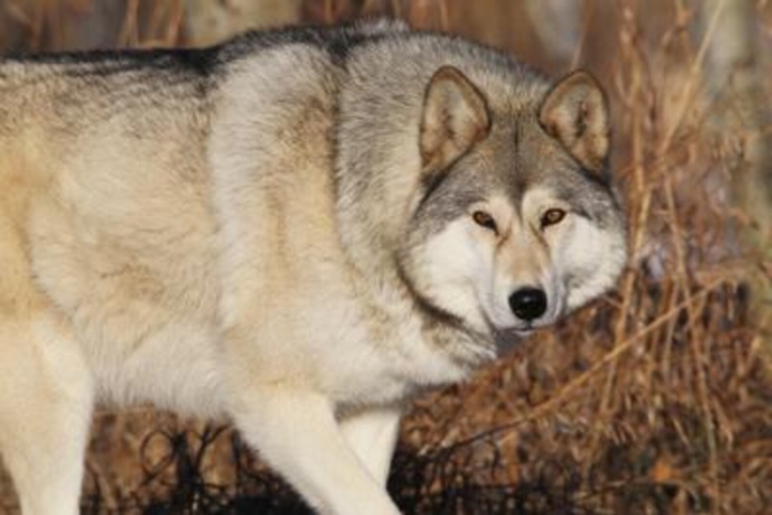 ADN20230125142533_1674653734169