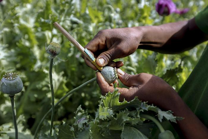 2023-01-26_126464242_1674709726459