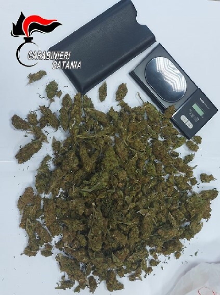 111200047-fce5c102-ebd7-42fb-b3fe-c87f7535aa45