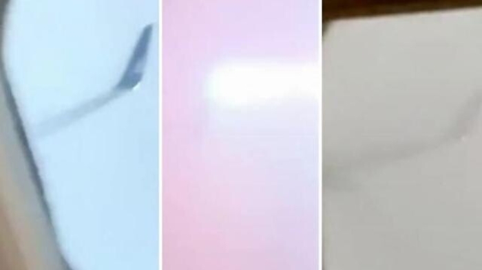 1394b7f2-a0e1-11ed-b6cb-0e3019005a4f_1675155745871