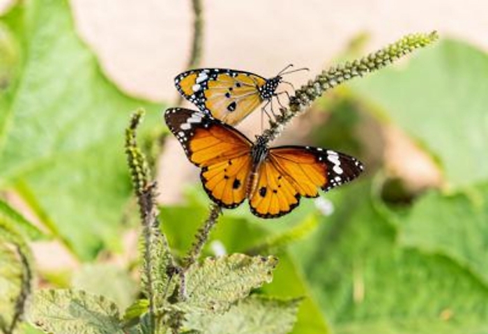 ADN20230202155923_1675350460542