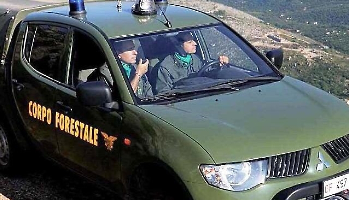 111206619-6918ecda-d477-485b-8aba-2465e98fd1c7