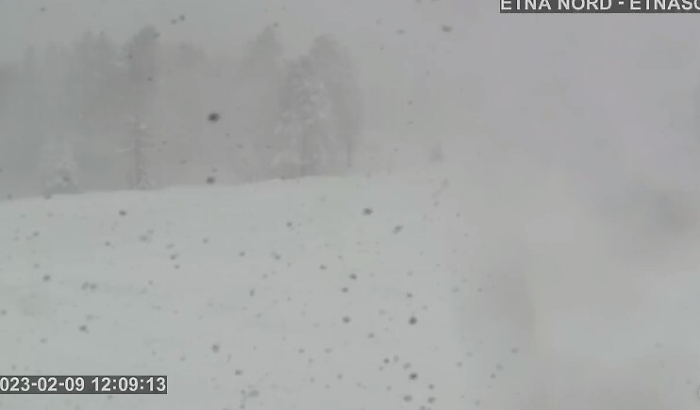 114842708-fdfeda7f-f1b5-4f3f-a780-6d9df51026fa