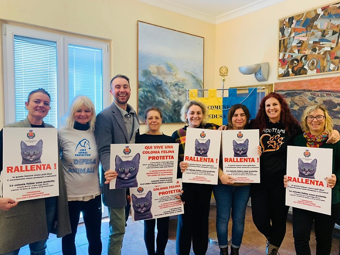 111438805-ba2dc1bb-bb74-4727-9069-80e060ec944a