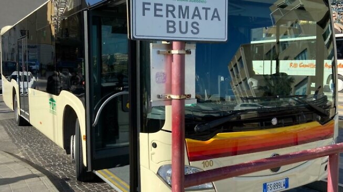 113602531-7b1fab14-a3b2-4546-8a72-dfd7a4765906