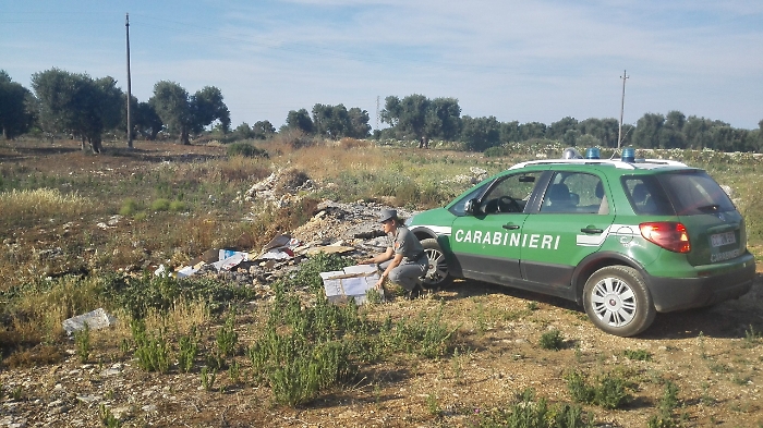 132934512-86b13f8c-133e-4234-8d35-de209840970d