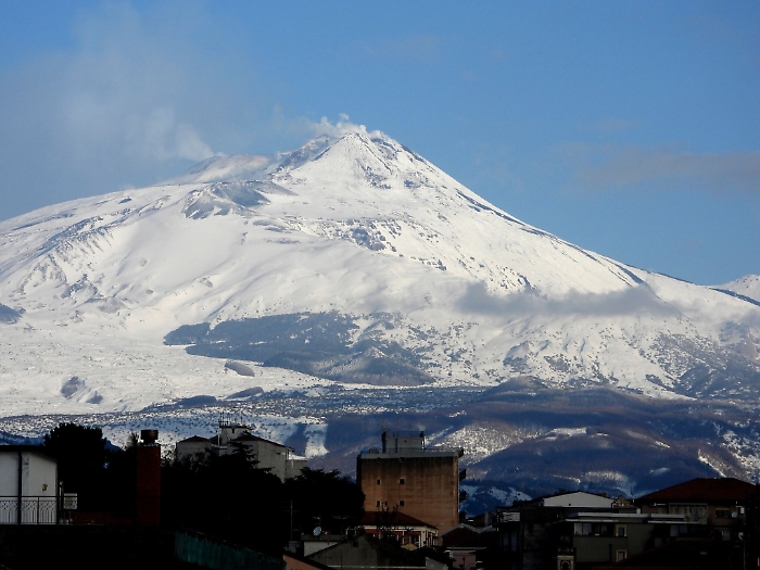 143621943-129af807-49dc-4bd8-8864-3aca9ec0aae4