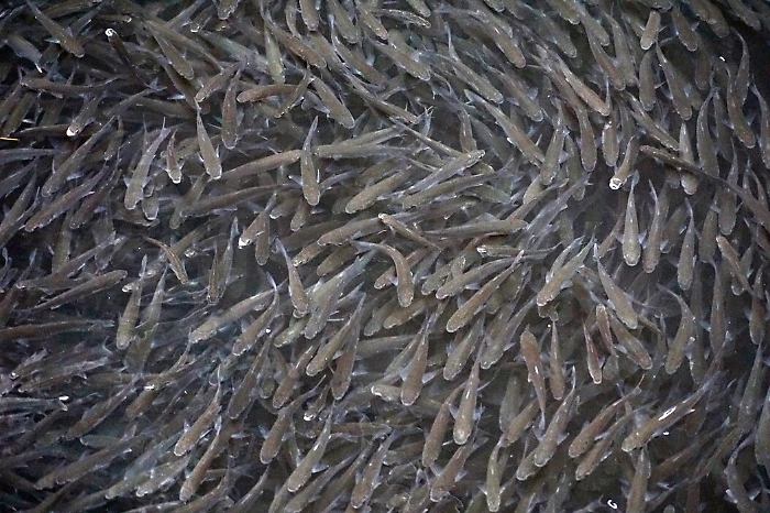 2023-02-15_115490984_1676456199772