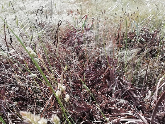 1677068102_378276f0072da86d426a