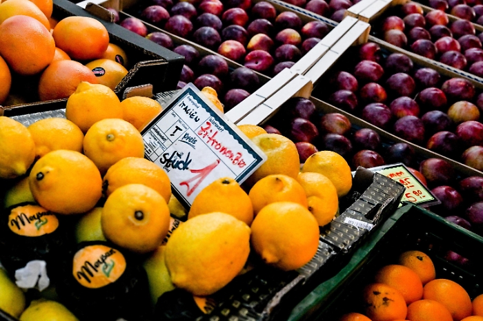 1677147007_735421e0104c3e7dd556