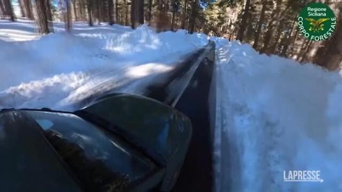 bc6726aa-ae8b-11ed-b1a1-f70141d8ba43_1676624566507