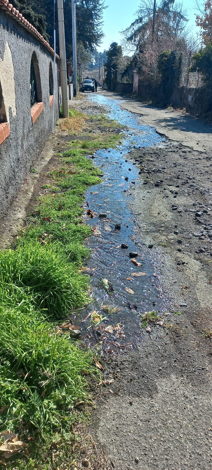 170446596-b22d05ae-8f3f-404a-9209-e7453ec398d5