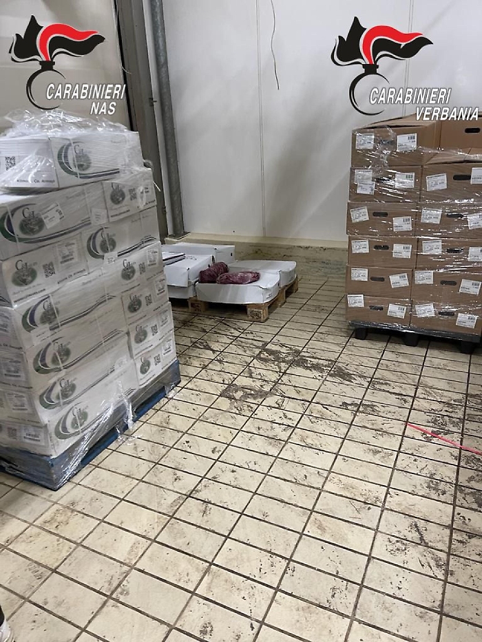 1677686102_d4e4f31e304eae5cbda0