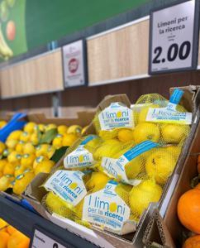 1677752401_ed696083fc1c476fb989