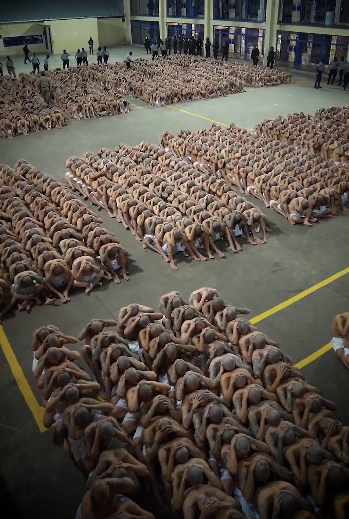 1677775815_d3f8283b6d778328baf6