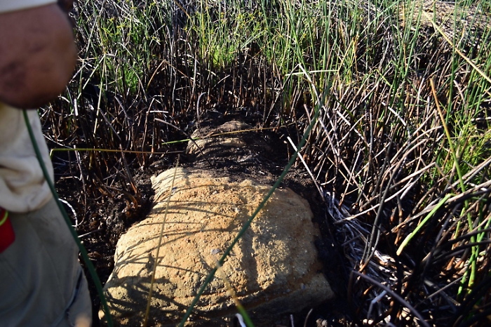 1677883802_198d653c0a1d58d4dc98