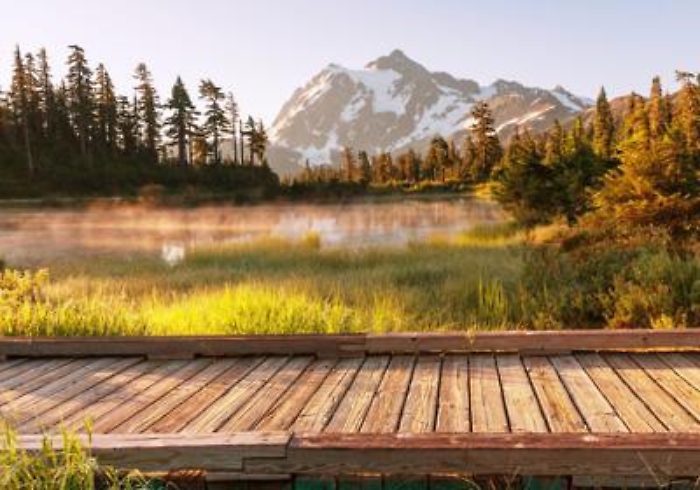 1678287602_a7c8be57d23fa2a97bb0