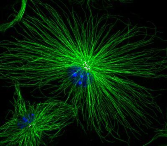 1678288802_66917d463834ce2f6783