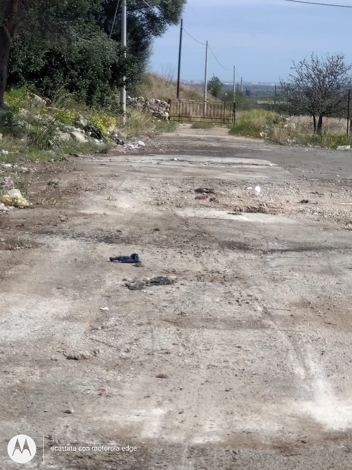 la SS 12 Floridia - Cassibile, torna quasi all'integrale splendore.