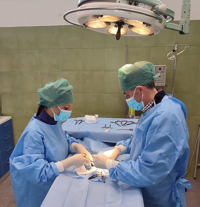 ASP-CATANIA-sterilizzazione-cani-e-gatti-22.03.2023-2