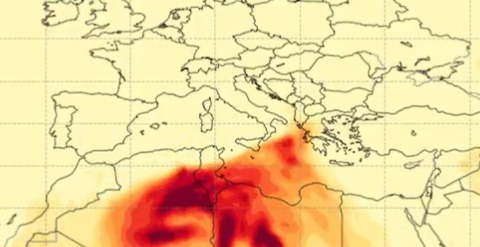 Immagine 2023-03-23 123111