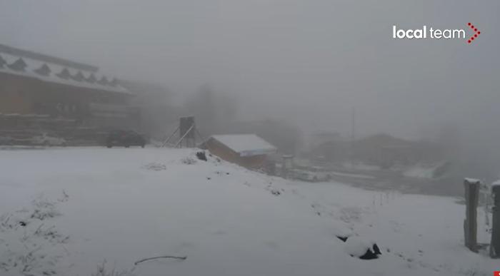 Immagine 2023-04-03 121638